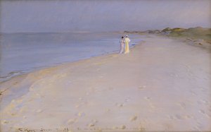 サウスビーチの夏の夜、スカーゲン、1893